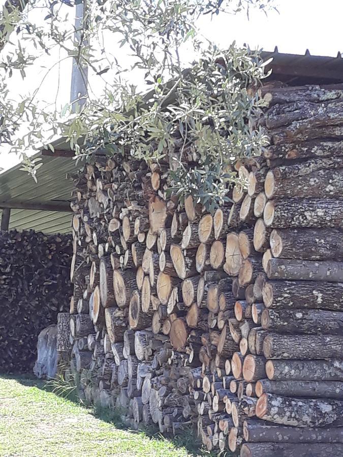 La Vecchia Quercia Villa Pergine Valdarno Eksteriør billede